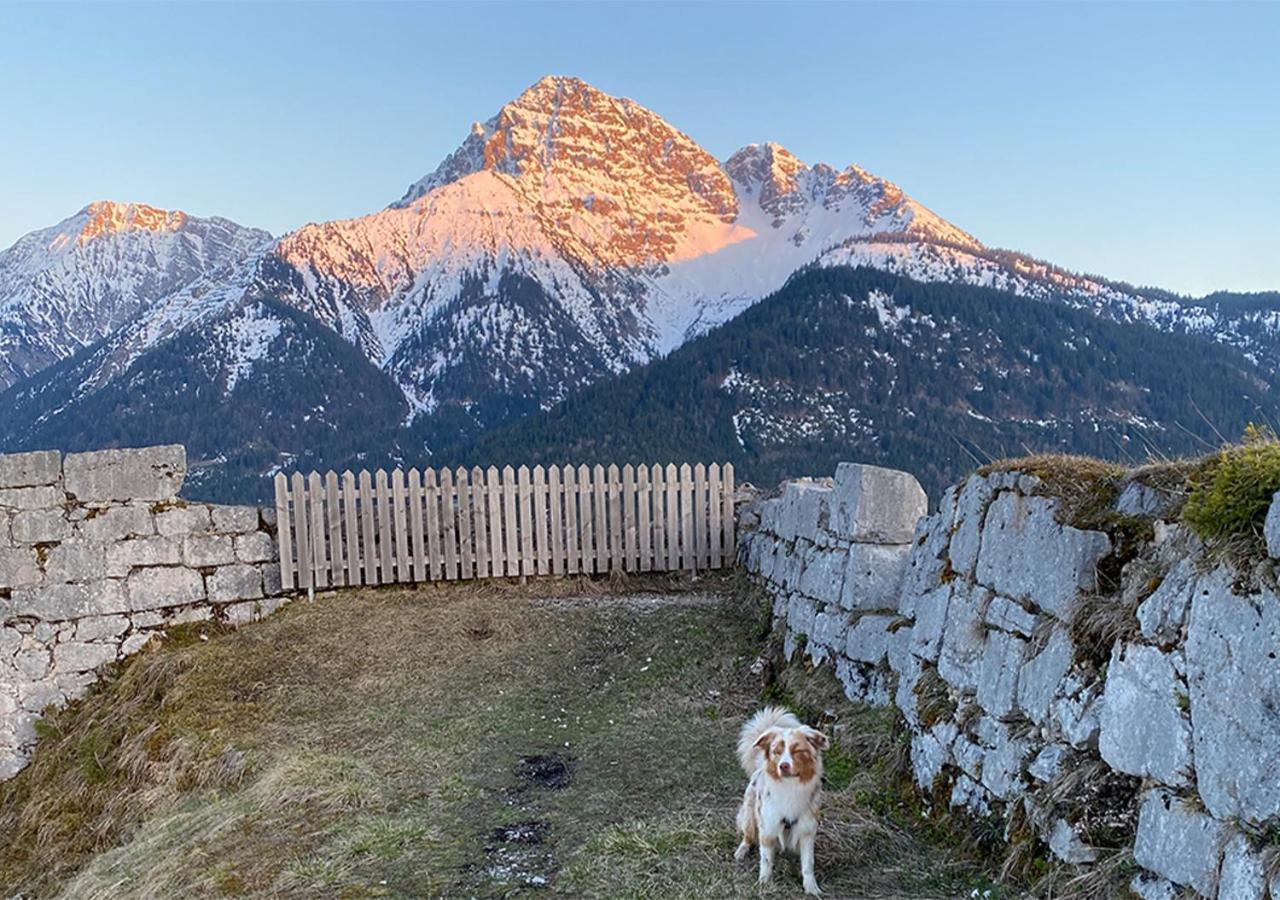 Jaegers Zwischen Ehrenberg Und Neuschwanstein